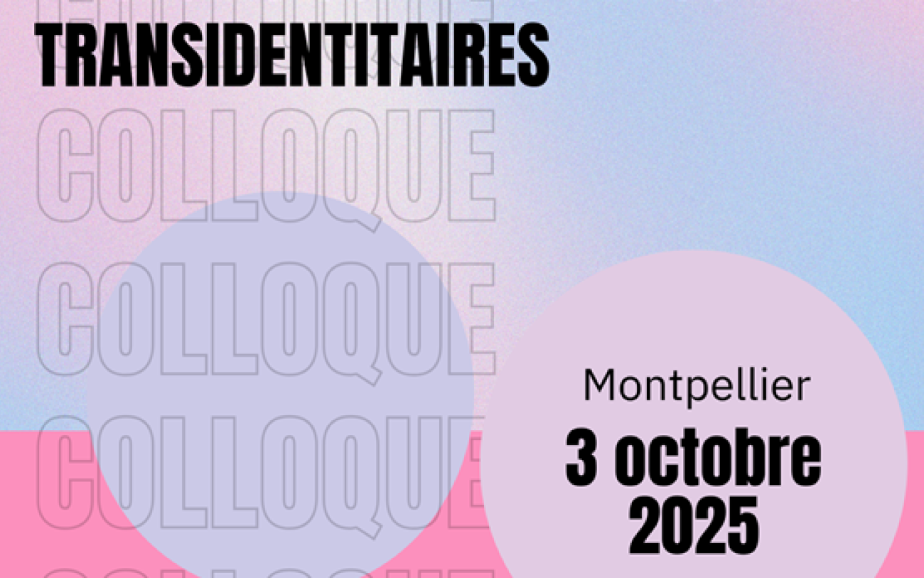 Colloque Accès au soin des personnes transidentitaires.