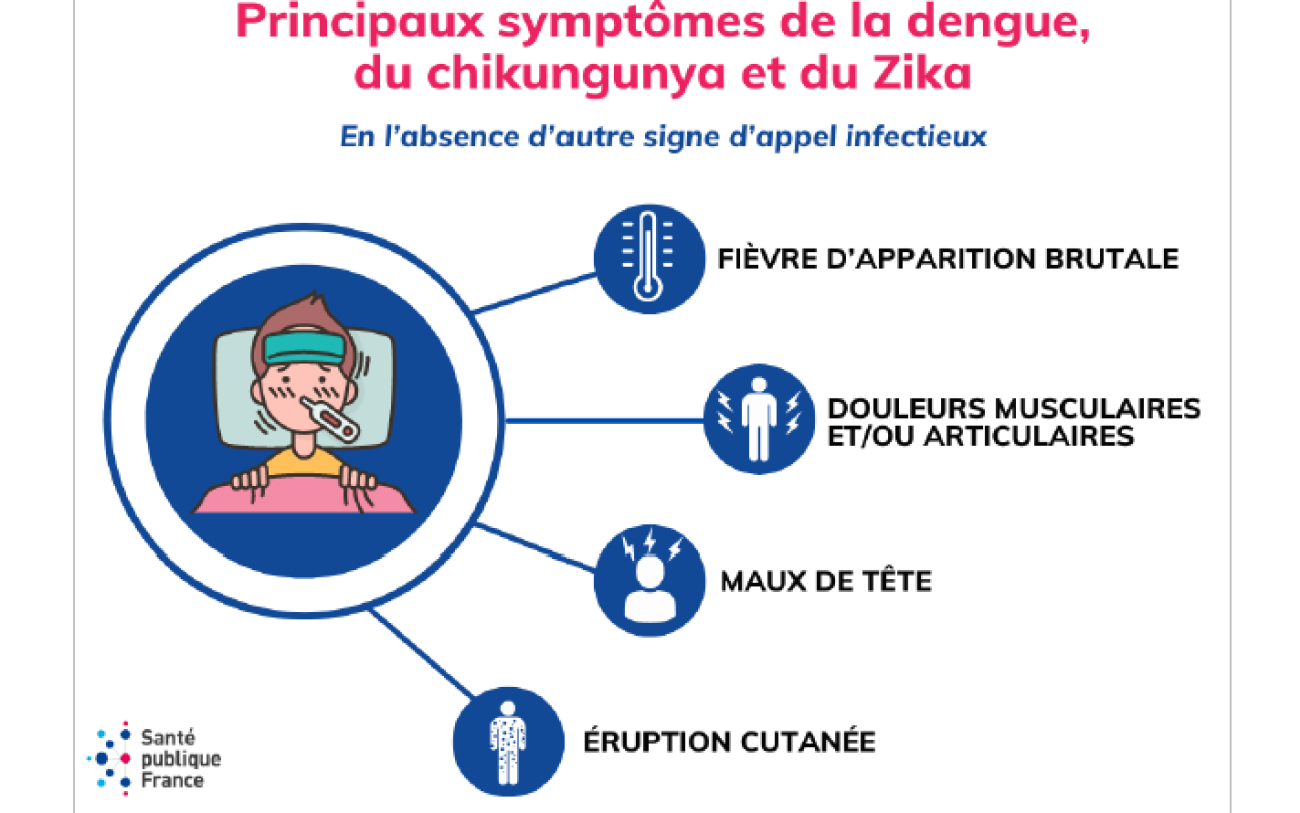 Dengue, chikungunya et Zika .png