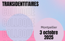 Colloque Accès au soin des personnes transidentitaires.