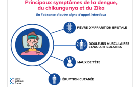 Dengue, chikungunya et Zika .png