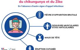 Dengue, chikungunya et Zika.