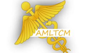 logo_amltc.png