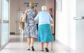 accompagnant personne agée