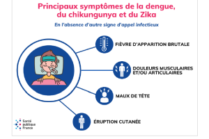 Dengue, chikungunya et Zika .png