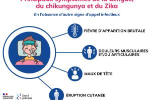 Dengue, chikungunya et Zika.